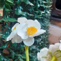 به یک کارگرساده نیازمندیم