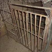 لونه مرغ|لوازم جانبی حیوانات|آبدانان, |دیوار