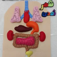 کاردستی کلاس اول تاششم