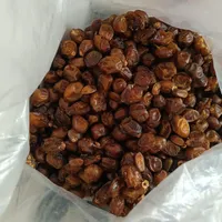 خرمای کبکاب و خاصویی درجه ۲|خوردنی و آشامیدنی|فولادشهر, C4|دیوار
