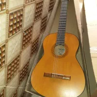 گیتار کلاسیک معاوضه با طوطی سان یا لوازم خانگی نو|گیتار، بیس، امپلیفایر|شیراز, لب آب|دیوار