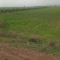 زمین 9 هزار متر