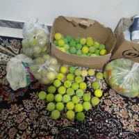 توپ تنیس|ورزش‌های توپی|کرج, شهرک پردیسان|دیوار