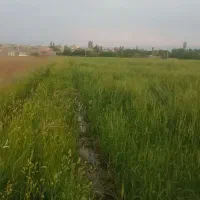 زمین-کشاورزی-ارمغانخانه