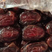 پخش خرما و رطب تازه