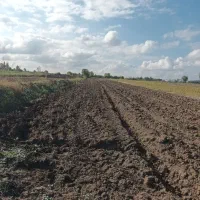 زمین باغی|فروش زمین و ملک کلنگی|گرگان, |دیوار