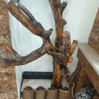 درخت