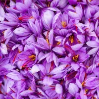 پایگاه گل پاک کنی