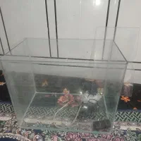 اکواریوم‌ شیشه خم