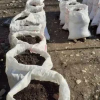 فروش کود حیوانی|خدمات باغبانی و درختکاری|تنکابن, |دیوار