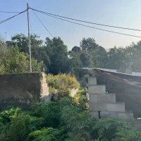 فروش زمین جنگلی در لفور|فروش زمین و ملک کلنگی|آلاشت, |دیوار