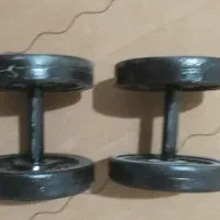دمبل ده کیلویی چدنی