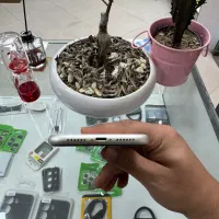 آیفون ۱۱ نرمال ۱۲۸ zaa|موبایل|کرج, اصفهانی‌ها|دیوار