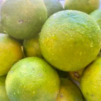 نارنج فروشی