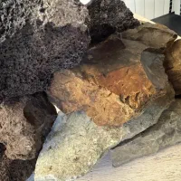 صخره  اکواریوم لامپ نور