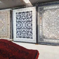 فرش هالیده سرمه ای فیلی ۷۰۰شانه تراکم ۲۵۵۰ سیار|فرش|داراب, |دیوار