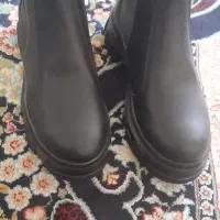 کفش|کیف، کفش، کمربند|گناباد, |دیوار