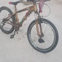 دوچرخه ۲۴ تنه کوتاه