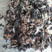 الیاف  برای بالش و غیره  کیلو 30