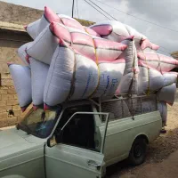 الیاف شمس ویسکوز توپی وساده|رختخواب، بالش، پتو|آق قلا, |دیوار