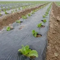 تولید پلاستیک (نایلون) کشاورزی شناژی و زباله