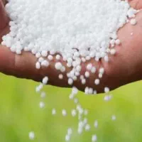 کود سفید .دانه درشت