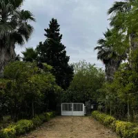 فروش-3500متر-ویلا-باغ-رامسر