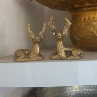 همچی درهم