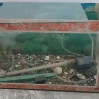 آکواریوم