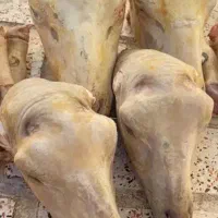 کله پاچه|خوردنی و آشامیدنی|دوگنبدان, |دیوار
