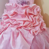 لباس مجلسی|لباس|بوشهر, |دیوار