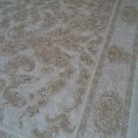 تعداد۲تخته۶متری ۱۲۰۰شانهتراکم۳۶۰۰|فرش|مهاباد (آذربایجان غربی), |دیوار