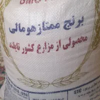 برنج تایلندی