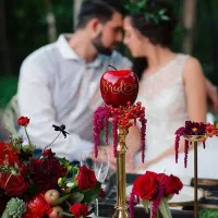 عکاس هستم (هرشات یک سکانس از زندگی)