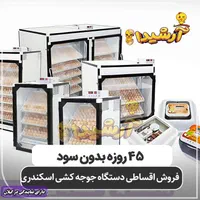 نماینده فروش دستگاه جوجه کشی اسکندری آستانه اشرفیه