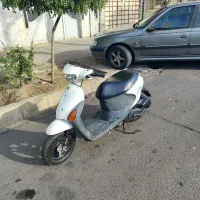 پاکشتی لتس