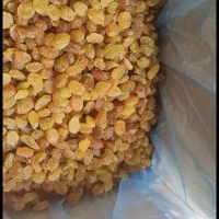 عمده فروشی|عمده‌فروشی|قوچان, |دیوار