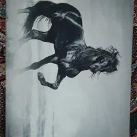 تابلو اسب و موتور