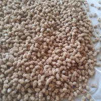 توت خشک از نوع (زورده)