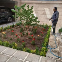 خدمات باغبانی درختکاری گل کاری هرس تهران و کرج