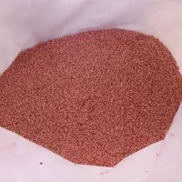 گندم بذر فروشی
