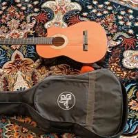 گیتار|گیتار، بیس، امپلیفایر|سرپل ذهاب, |دیوار