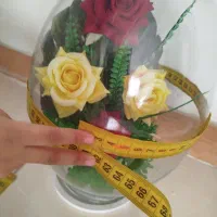 گل رز داخل محفظه شیشه ای تخم مرغی درحدنو|گل مصنوعی|همدان, |دیوار