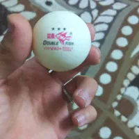 توپ دبل فیش