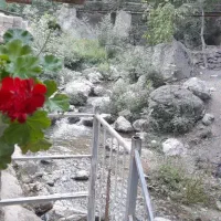 سوئیت اجاره ایی