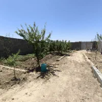 زمین ۵۰۰ متری رامجین