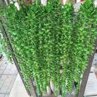 شمشاد گلدار|گل مصنوعی|نسیم‌شهر, |دیوار