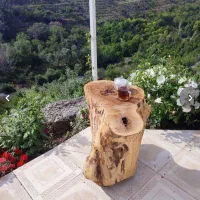 تورو یک شبانه روز