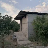 قلم باغ بااستخرماهی
