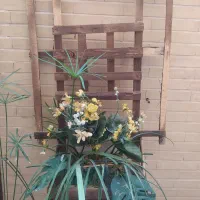 حراج|حراج|اصفهان, عباس‌آباد|دیوار